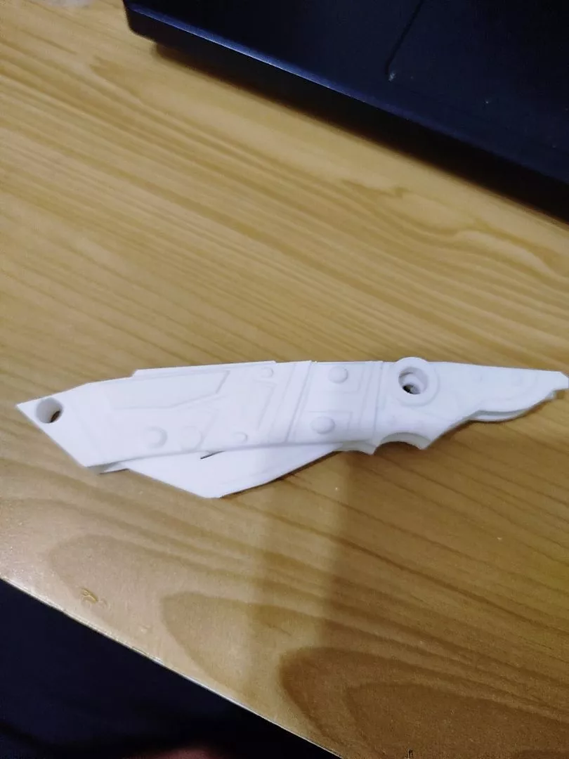 Customer Print 1