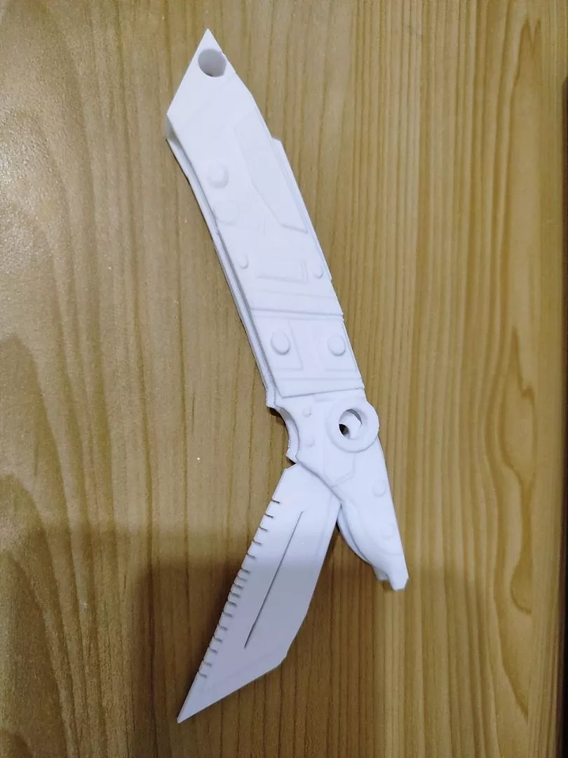 Customer Print 2